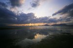 45420007