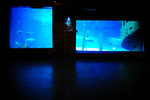 DSC_2521