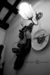 SHD100_2293
