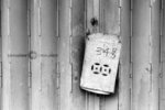 SHD100_2295