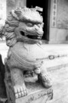 SHD100_2302