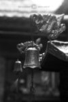 SHD100_2305