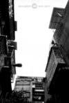 SHD100_2309