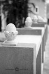 SHD100_2320