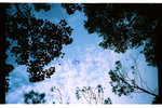Pro160s_002