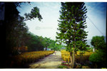 Pro160s_012