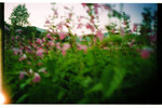 Pro160s_019