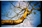 Pro160s_021