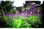 Pro160s_026