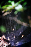 DSC_4190