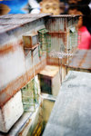 DSC_0610