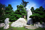 IMG1338 copy