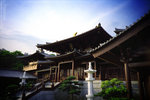 IMG1340 copy