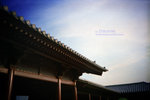 IMG1341 copy