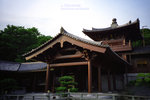 IMG1343 copy