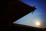 IMG1346 copy