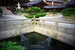 IMG1348 copy