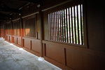 IMG1351 copy