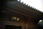 IMG1354 copy