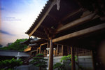 IMG1364 copy