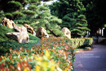 IMG1379 copy