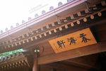 IMG1381 copy