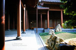 IMG1384 copy