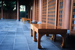 IMG1386 copy