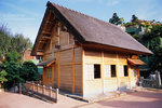IMG1397 copy