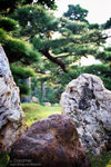 IMG1403 copy