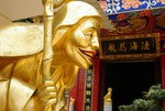 IMGP8711