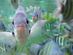 DSCF7893