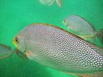 DSCF7897