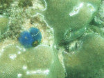 DSCF7929