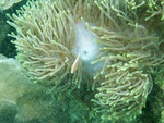 DSCF7955