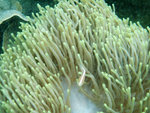 DSCF7957