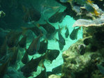DSCF7989