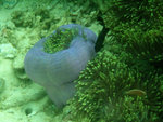 DSCF8021