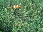 DSCF8029