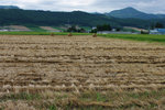 IMGP2573