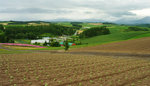 IMGP2912p