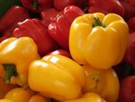 DSCF2330
�s�A pepper �Y�R�Y�� - ��^��l�|