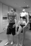 IMGP1374