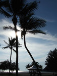 DSCF5070