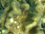 DSCF5121
