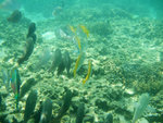 DSCF5130