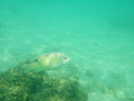 DSCF5140
