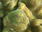 DSCF5145