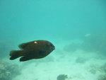 DSCF5147