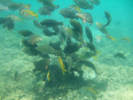 DSCF5157